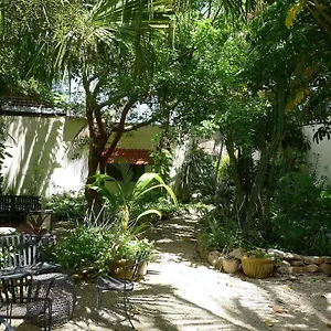 Decu Downtown Mérida